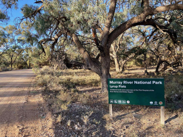 are dogs allowed in national parks nsw