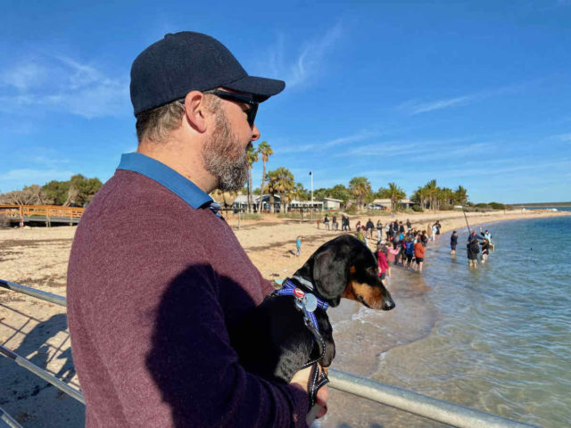 Monkey Mia Dolphin Experience with Dog