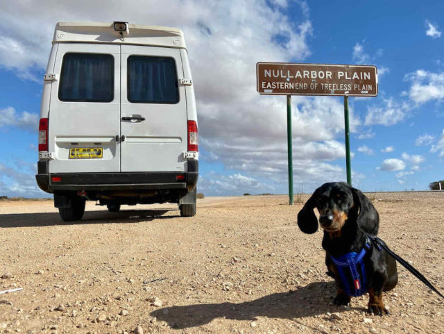 Nullarbor Plain Sign with Dog