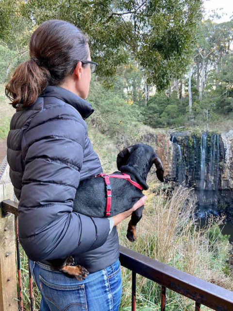 Trentham Falls with Dog