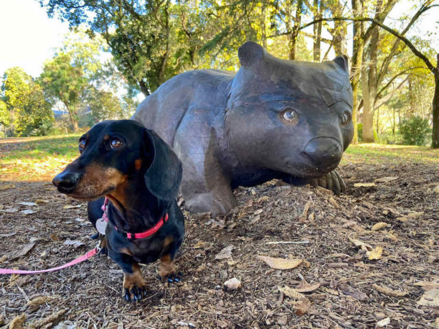 Wombat Hill Botanic Gardens