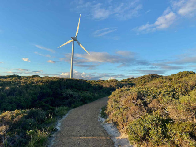 Albany Wind Farm