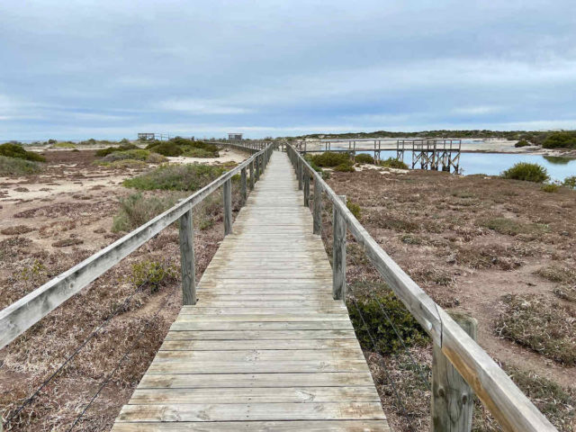 Arno Bay Boardwalks