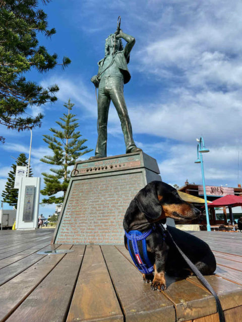 Bon Scott Statue with Dog