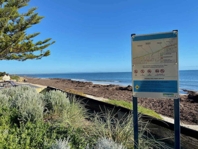 Busselton Off-Leash Dog Beach