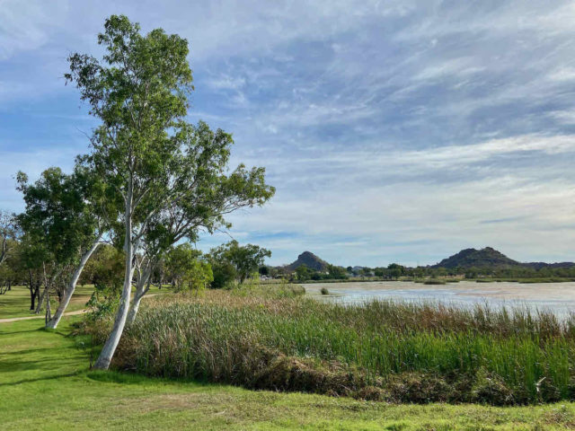 Celebrity Tree Park and Lily Creek Lagoon