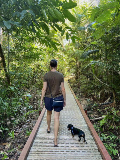 Darwin Botanic Gardens with Dog