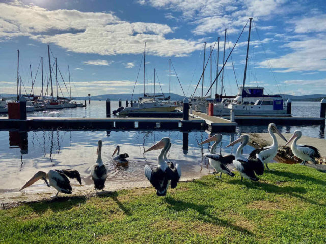 Emu Point Marina