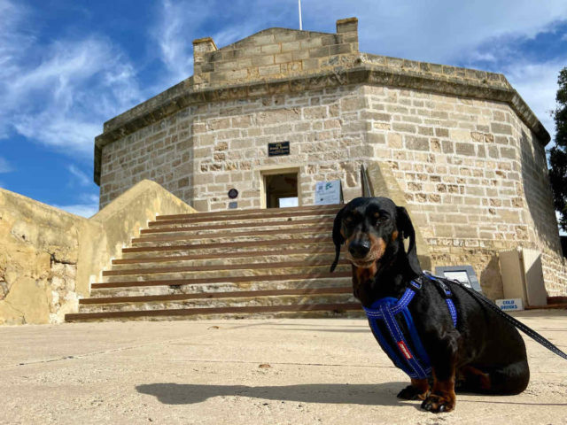 Fremantle Roundhouse with Dog