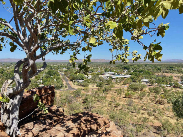 Kellys Knob Lookout