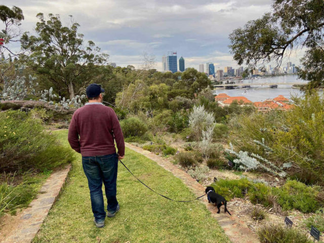 Kings Park Perth with Dog