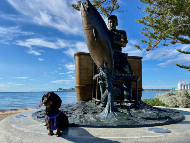 Port Lincoln Tuna Sculpture with Dog