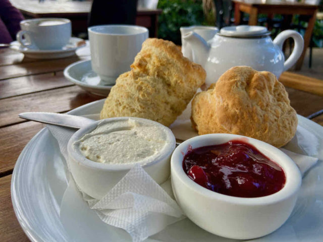 Scones at The Berry Farm