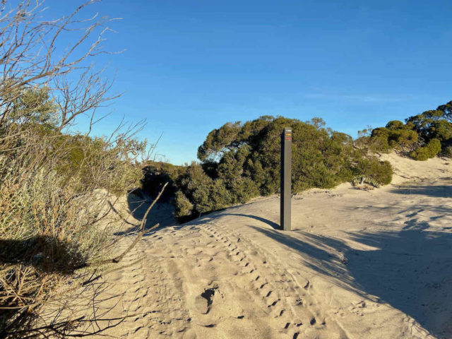 Shelly Beach Dune Walk