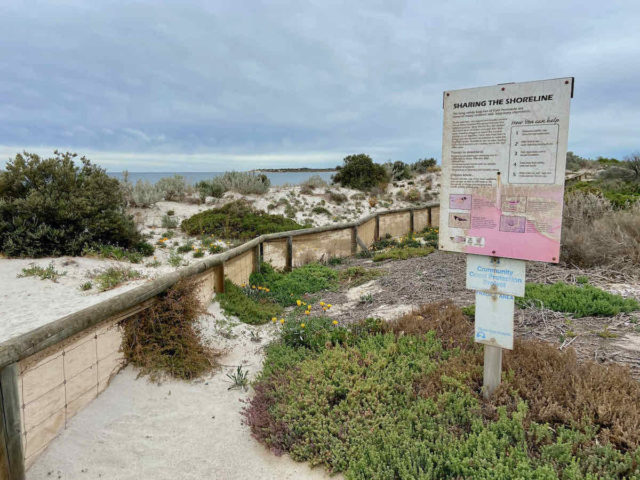 Shorebirds Warning Sign