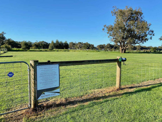 Southern Stars Dog Exercise Yard