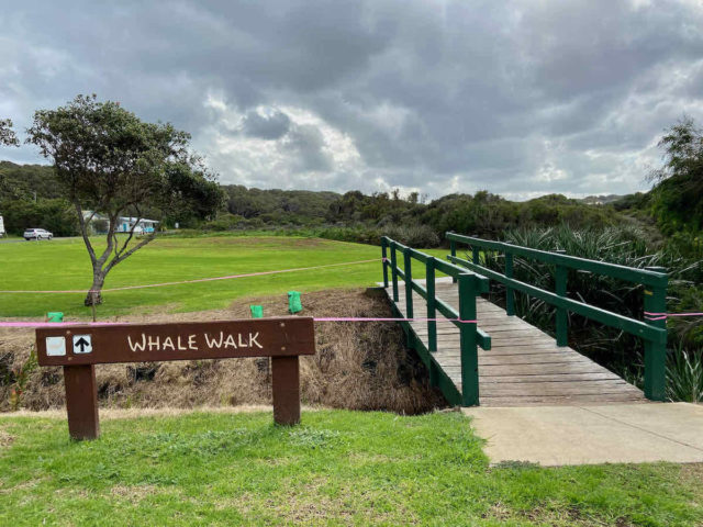 Whales Trail
