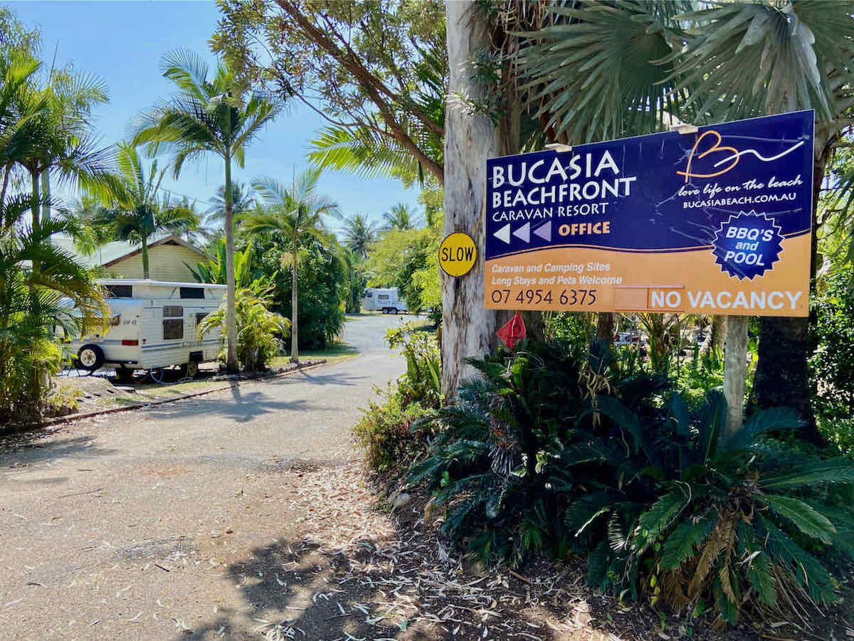 DogFriendly Mackay Visiting Mackay with a Dog Travelnuity