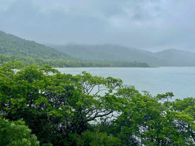 Cape Tribulation Lookout