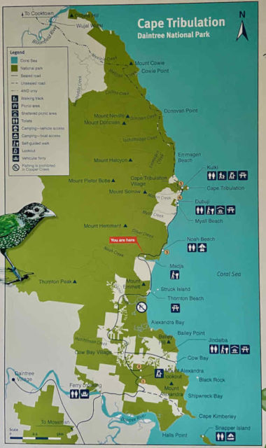 Cape Tribulation Map
