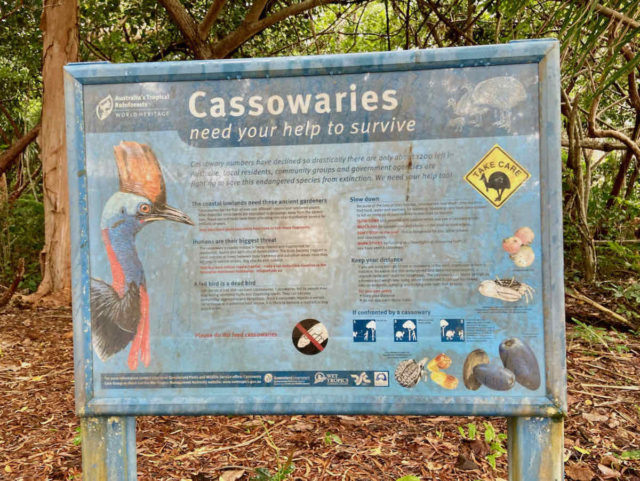 Cassowaries Sign
