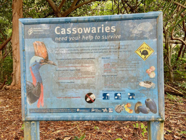 Cassowaries Sign