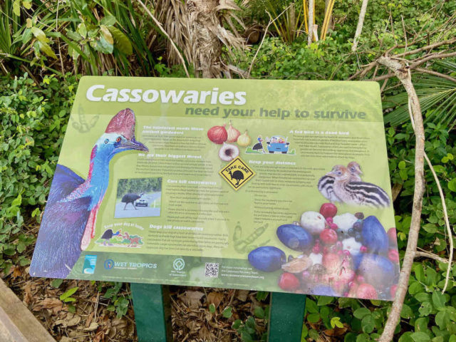 Cassowaries Warning Sign