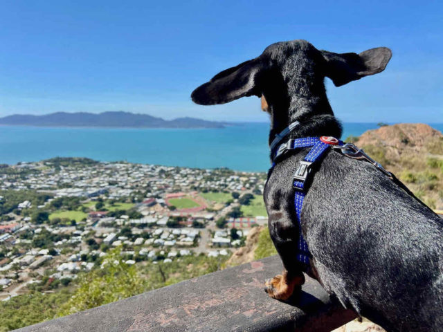 Castle Hill Lookout