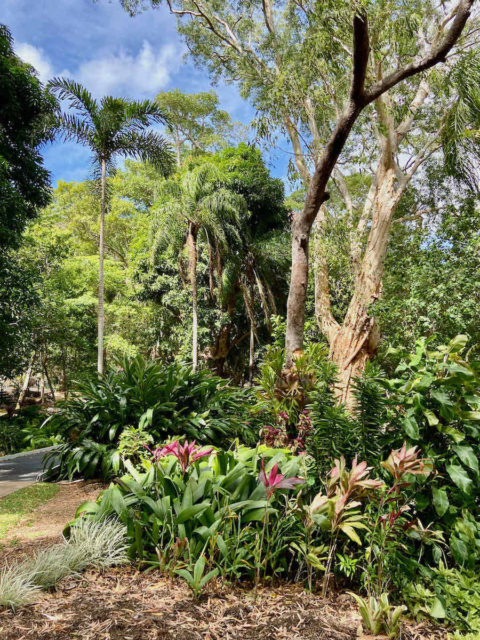 Cooktown Botanic Gardens