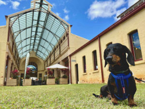 Dog-Friendly Charters Towers