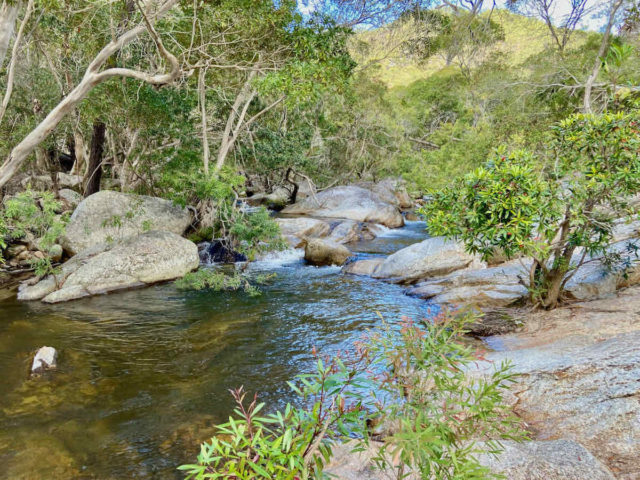 Dog-Friendly Swimming Emerald Creek