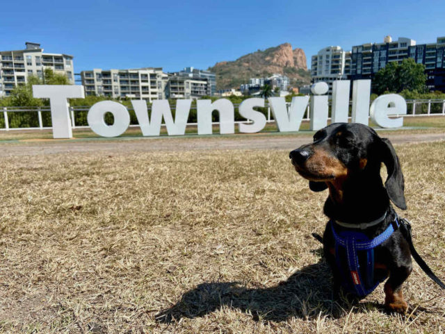 Dog-Friendly Townsville