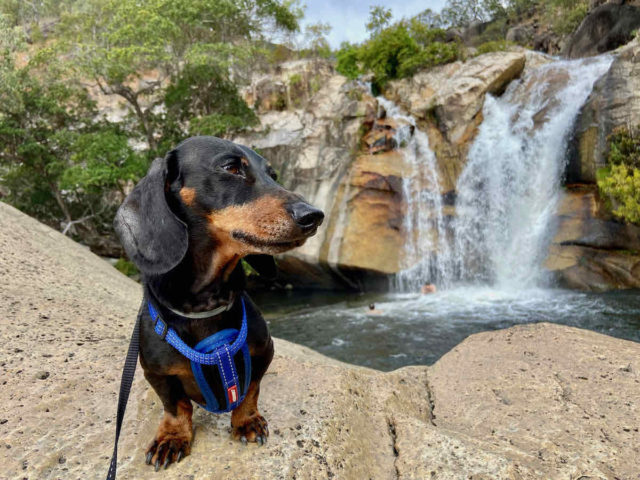 Emerald Creek Falls