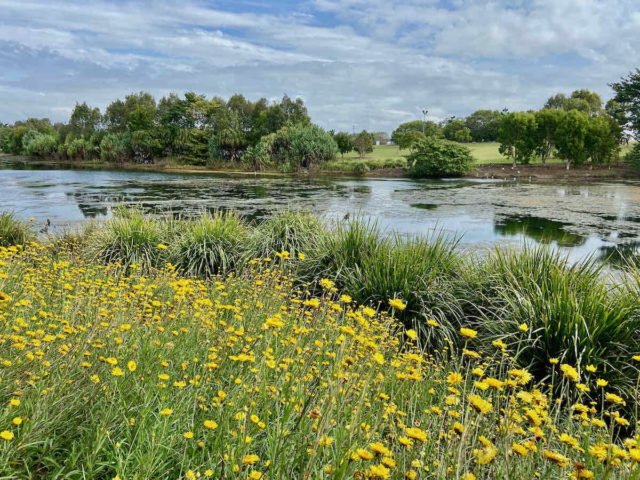 Mackay Regional Botanic Gardens