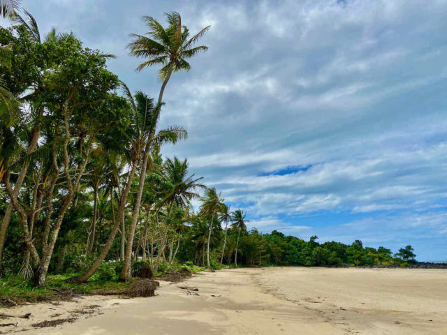 Palm-lined Mission Beach