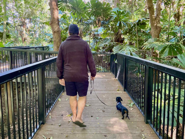 Palmetum Rainforest Walk