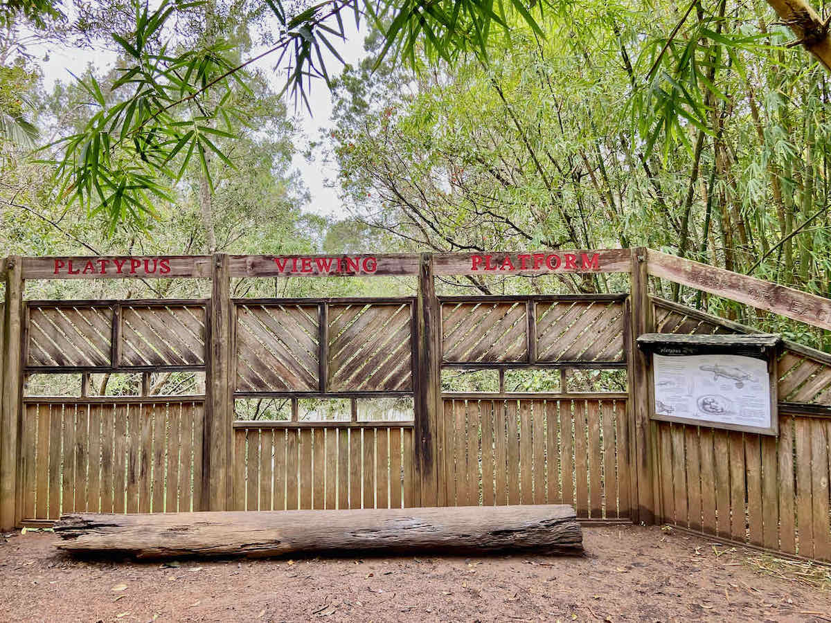 DogFriendly Atherton Tablelands Visiting with a Dog Travelnuity