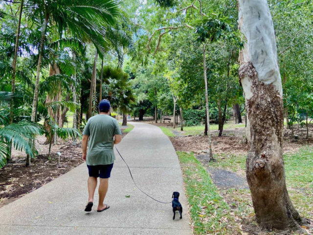 Walking in Cooktown Botanic Gardens