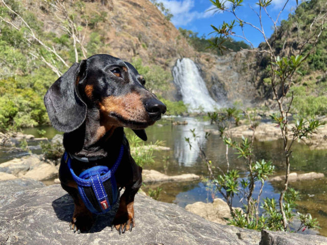 Wujal Wujal Falls