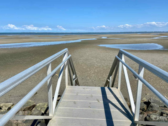 Beachmere South Off-Leash Dog Beach