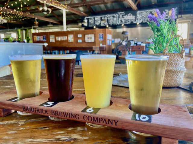 Beer Tasting at Bargara Brewing