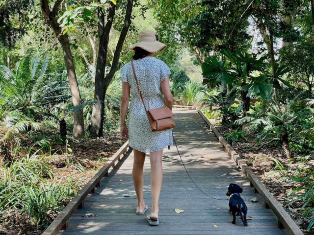 Brisbane City Botanic Gardens Walking with Dog