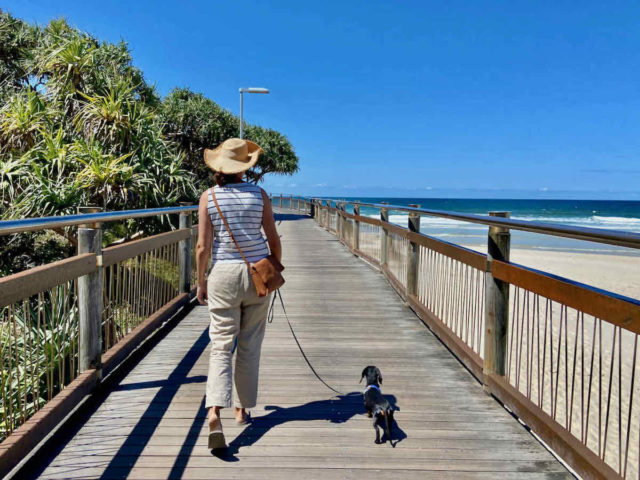 Calounda Foreshore Boardwalk with Dog