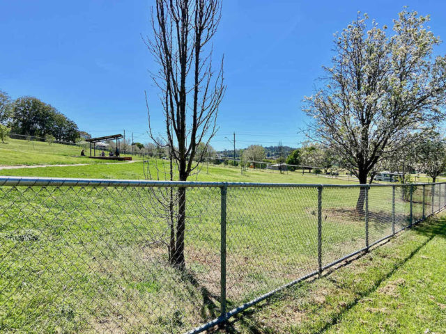 Clearview Street Fenced Dog Park