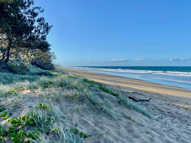 Deserted Stretch of Off-Leash Agnes Water Beach