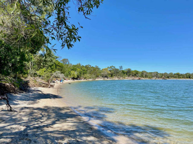 Dog Beach Noosa Spit