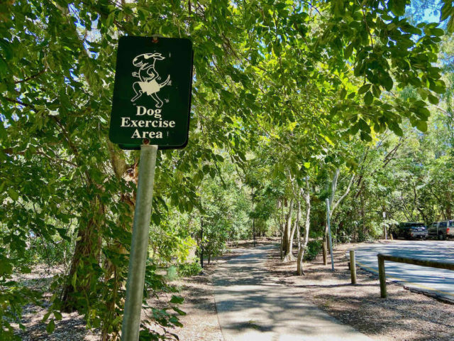 Dog Exercise Area Sign Noosa