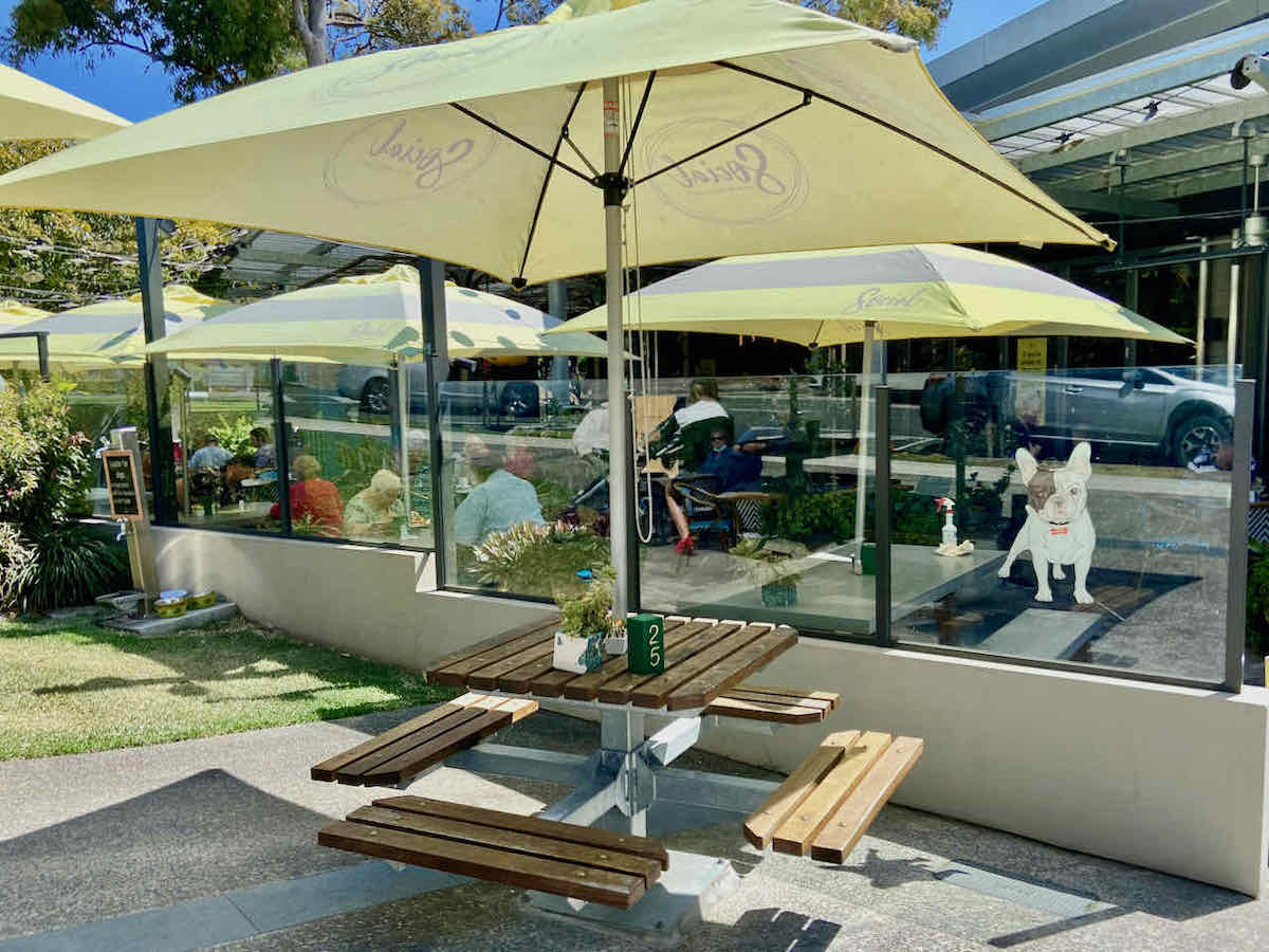 DogFriendly Bribie Island Visiting Bribie with a Dog Travelnuity