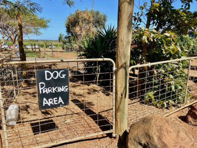 Dog Parking Area at Tinaberries