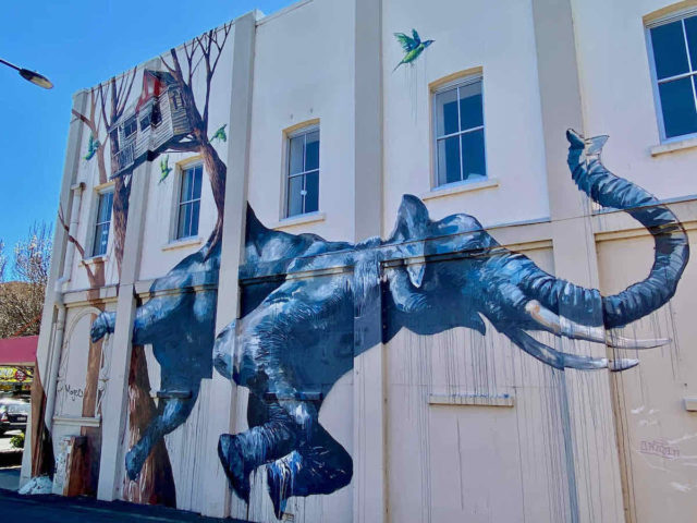 Fintan Magee Mural Toowoomba